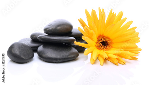Natural flower and spa stones
