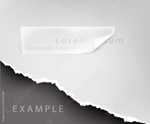 torn paper. hole in the notebook sheet i