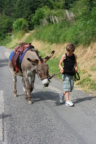 boy and donkey