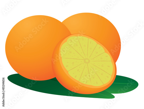 ripe orange vector design