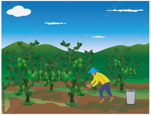 agriculturist manure lime plant vector design