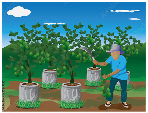 agriculturist harvest lemon in farm vector design