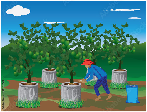 agriculturist manure lime plant vector design