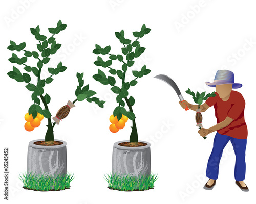 agriculturist graft lemon vector design