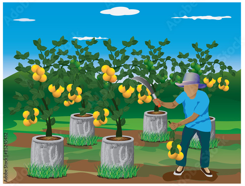 agriculturist harvest lemon in farm vector design