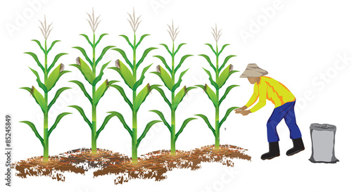 agriculturist manure corn plant vector design