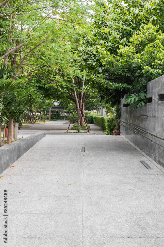 The path in the garden, landscape The path in the garden, landscape