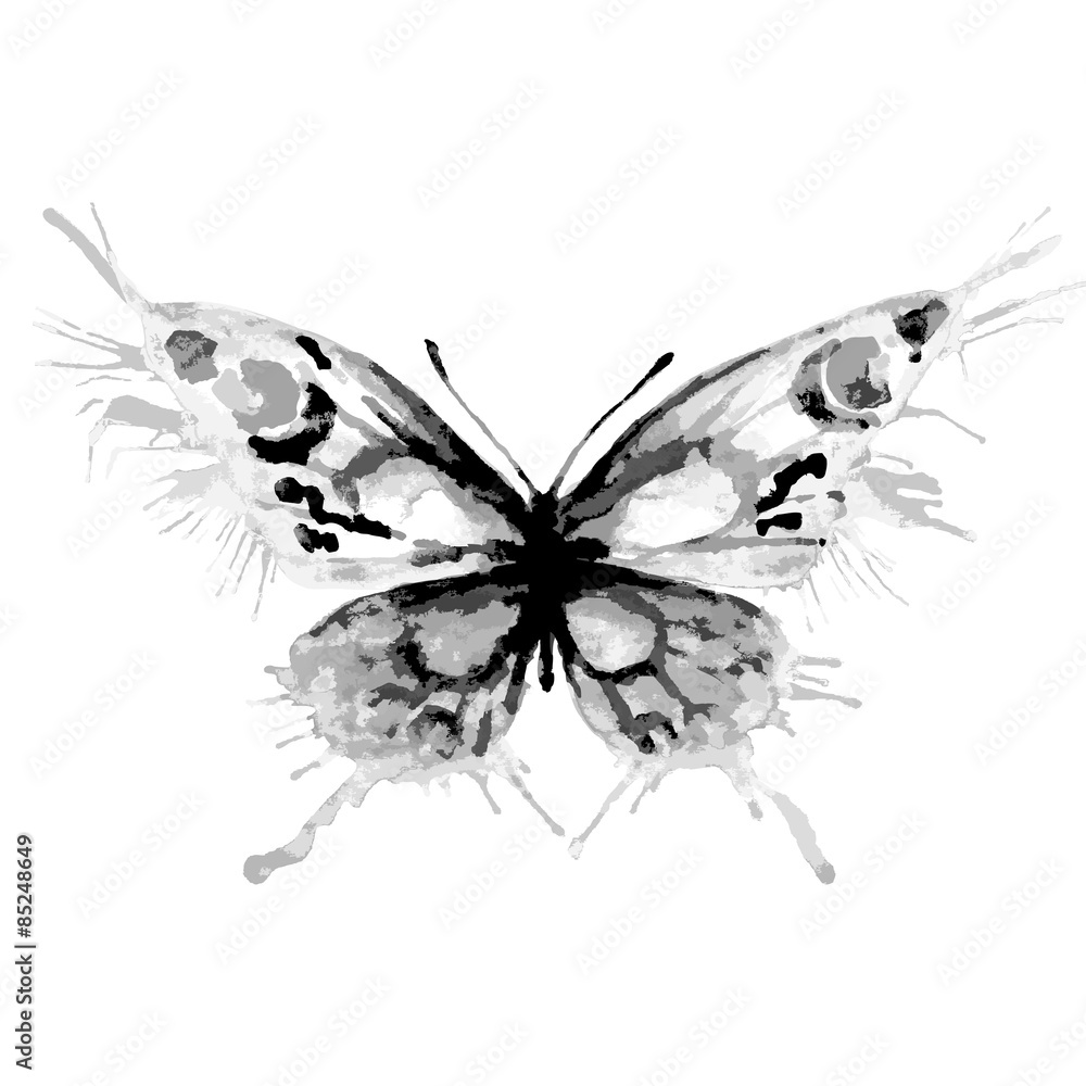 butterflies design butterflies design