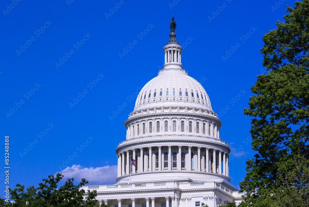 Obraz premium Dome of the Capitol building in Washington DC