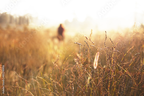 grasses with some one in blurred background