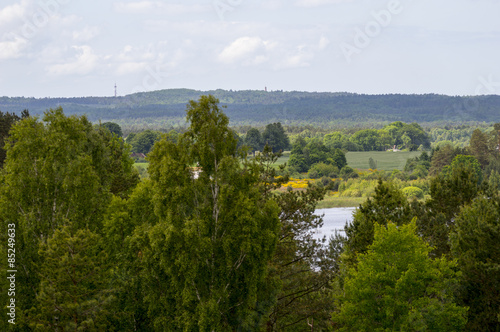 rural landscape