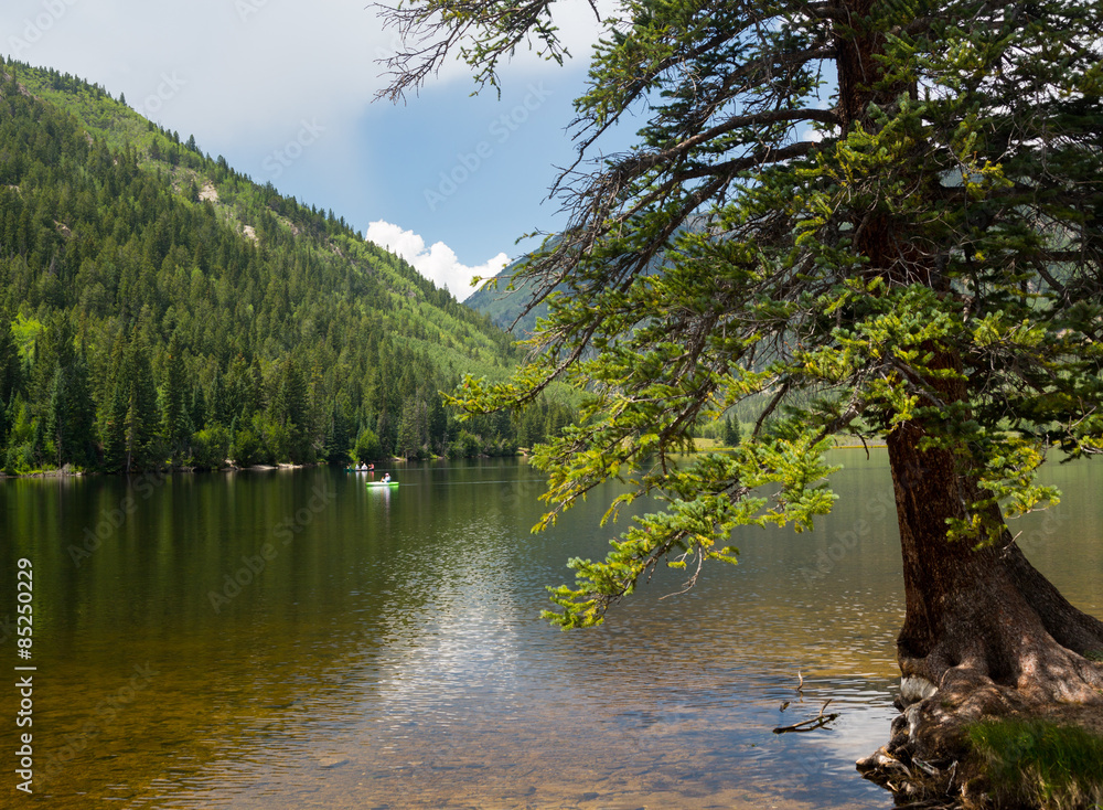 Cottonwood lake near Buena Vista Colorado