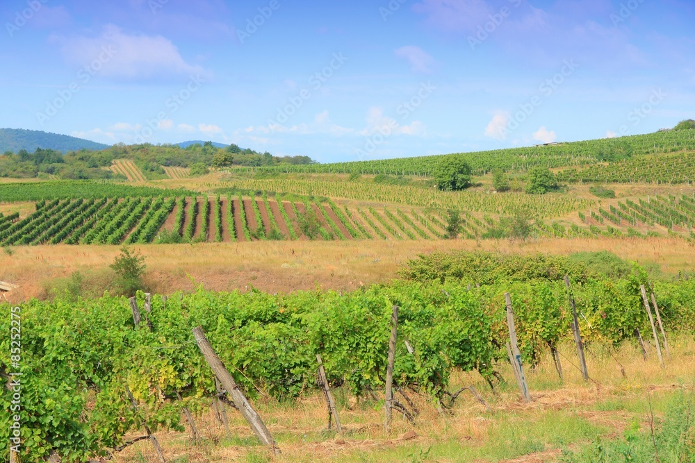 Hungary wine land - Tokaj