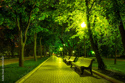 Night Park