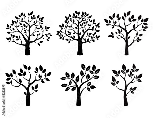 Set of lack vector trees with leafs