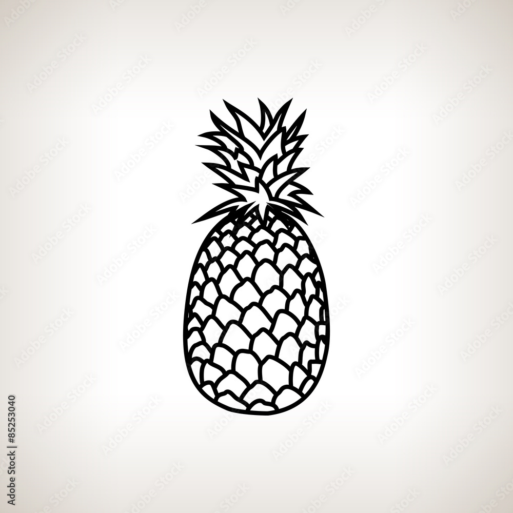 Fototapeta premium Pineapple in the Contours