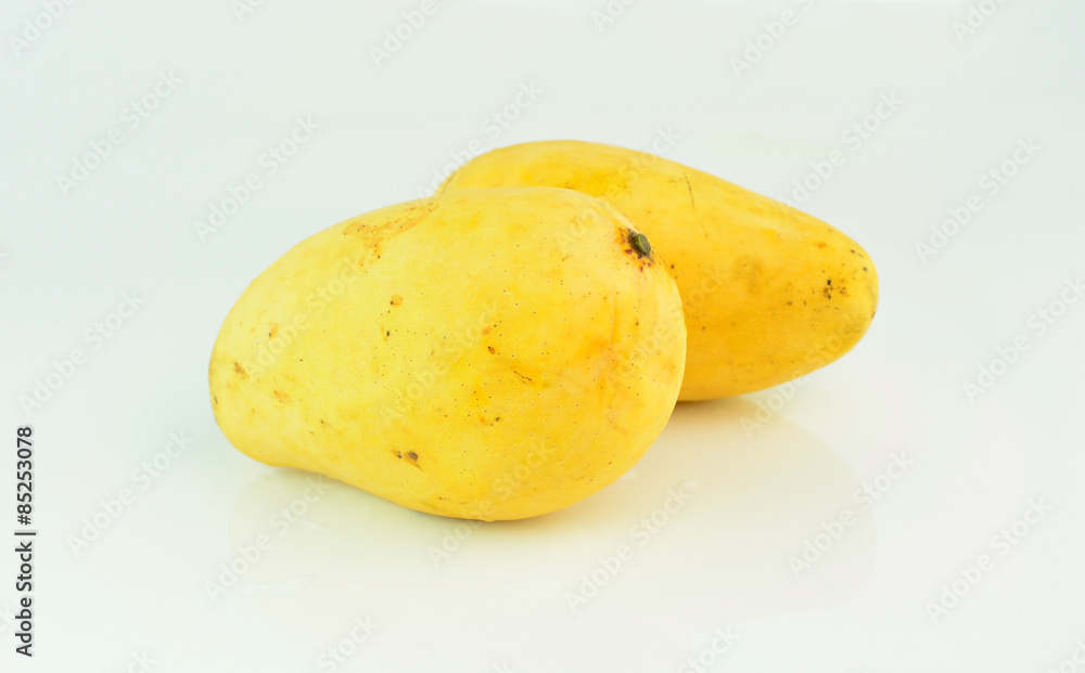 yellow Mango fruit on white background