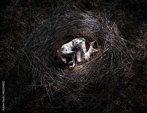 Foto girl in the nest, corpse of the girl in the woods