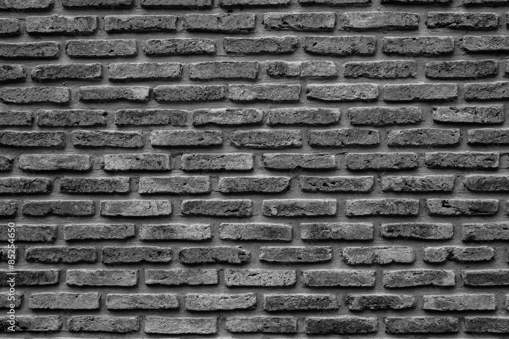 Fototapeta premium Monochrome brick wall texture, background