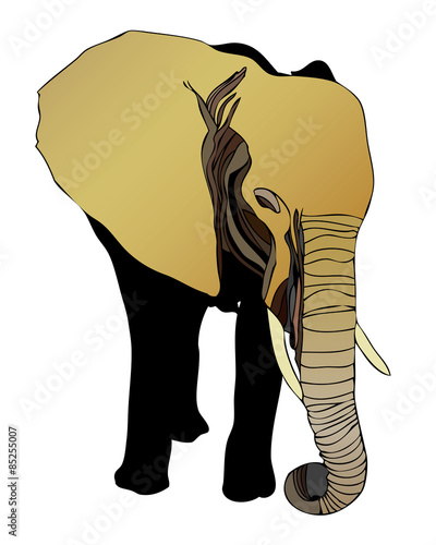 Elephant (Elephantidae)