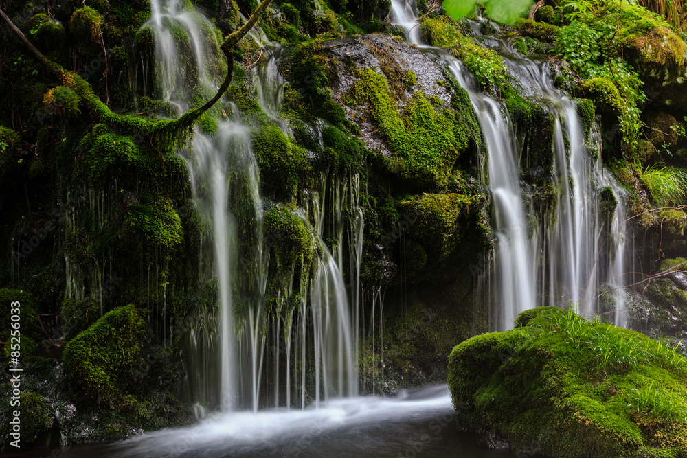 Fototapeta premium 元滝伏流水