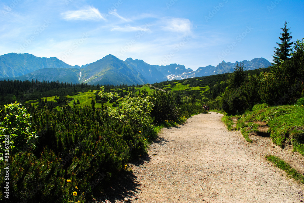 Road to Gasienicowa valley in High Tatras