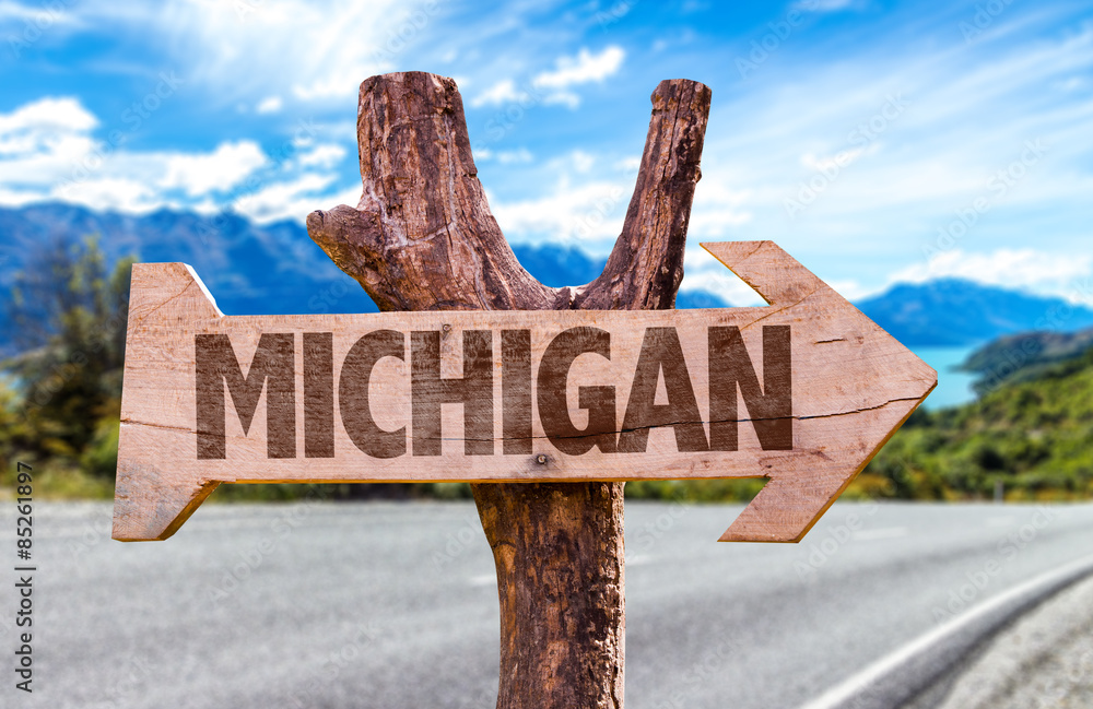 Michigan wooden sign with road background