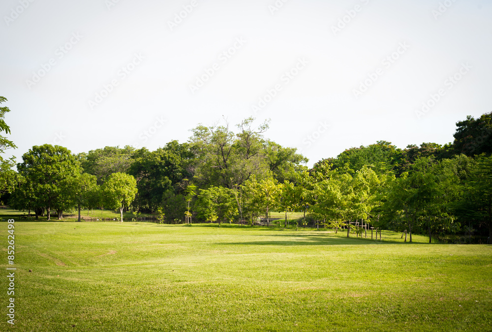 green park landscape, background