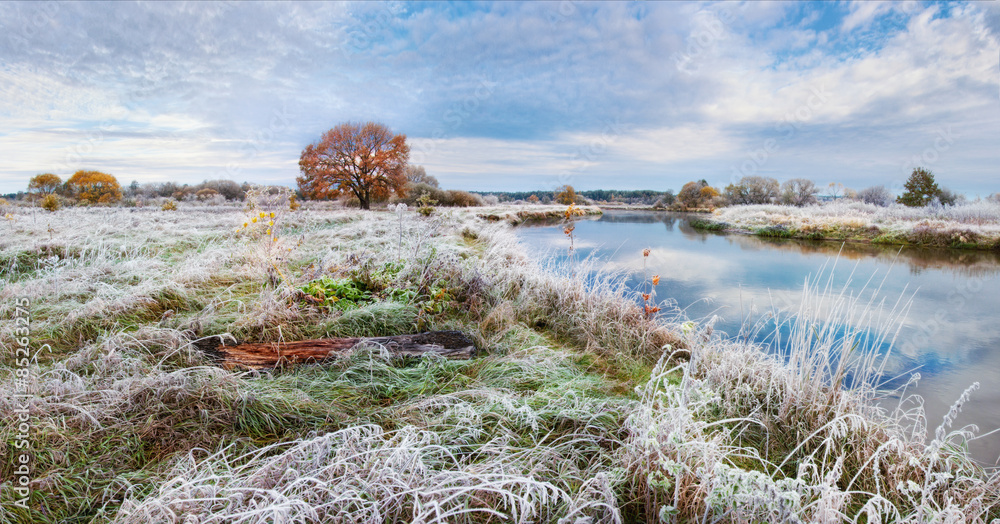 Cold autumn morning in Belarus. Scenic autumn landscape oak grove with yellowed leaves near the river and frost on the grass. Panoramic views of the river and lonely yellowed oak