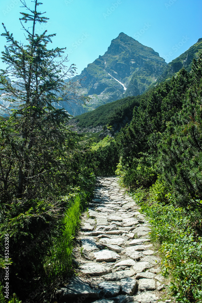 Koscielec peak in the background