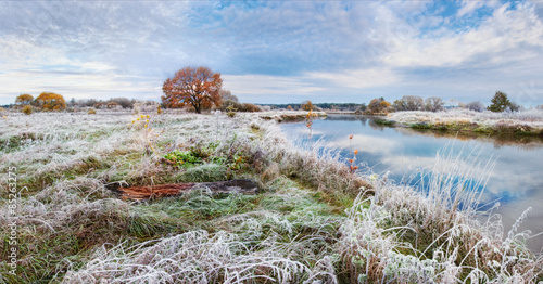 Obraz na płótnie Cold autumn morning in Belarus. Scenic autumn landscape oak grove with yellowed leaves near the river and frost on the grass. Panoramic views of the river and lonely yellowed oak w salonie