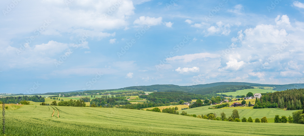 Panorama bei Erlbach/Vogtland