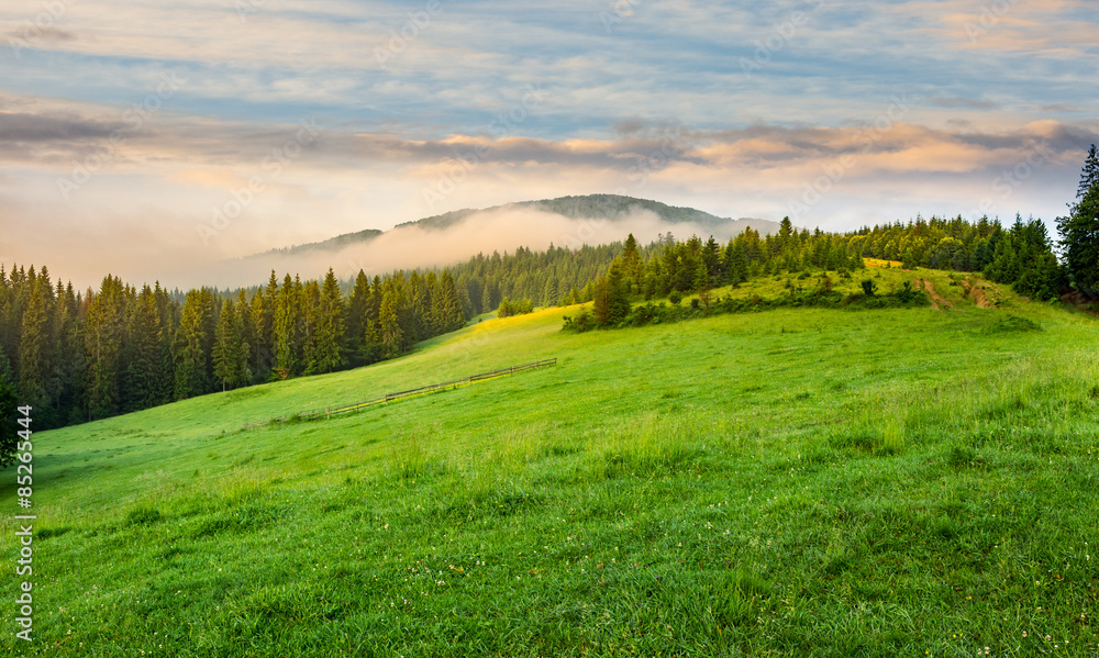 Obraz premium fog around the mountain top at sunrise