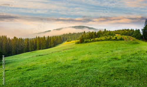 fog around the mountain top at sunrise