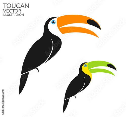 Toucan
