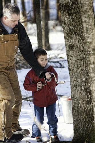 father and son tapping maple trees in a sugar bush photo