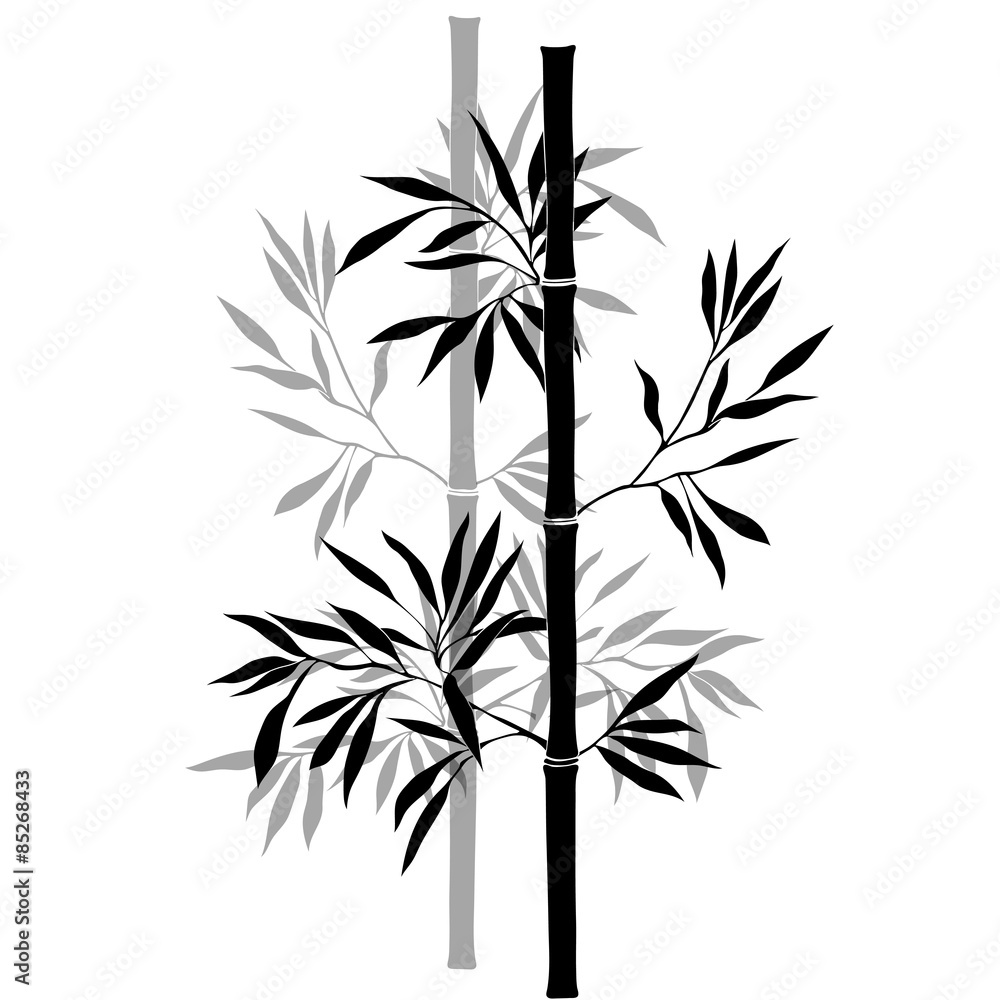 Naklejka premium Bamboo branches isolated on the white background.