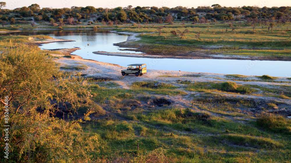 Fototapeta premium Safari