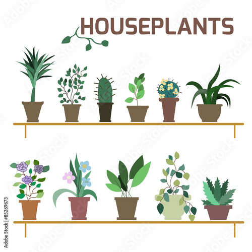 Vector Set of indoor plants in pots.