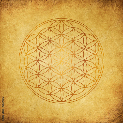 Blume des Lebens - gold