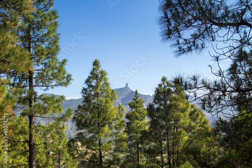 Gran Canaria  Caldera de Tejeda