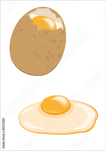 egg