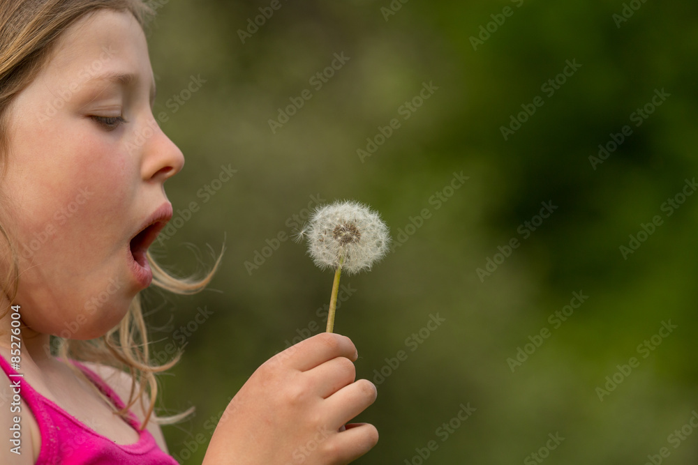 M Pusteblume anfang M Pusteblume anfang