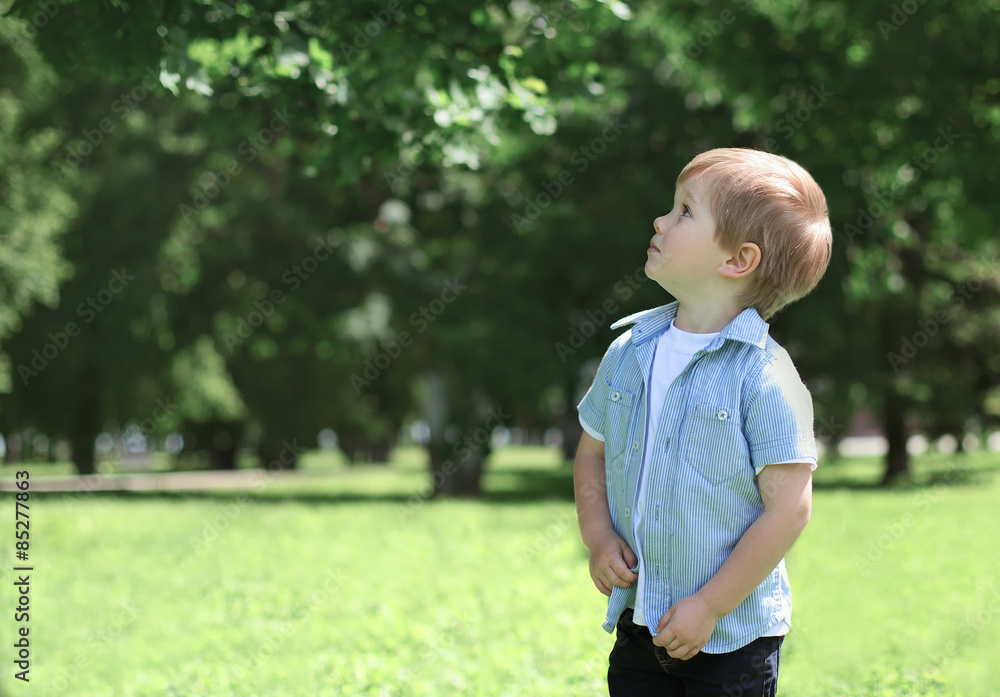 Little boy child outdoors in green sunny park looking up, enjoyi Little boy child outdoors in green sunny park looking up, enjoyi