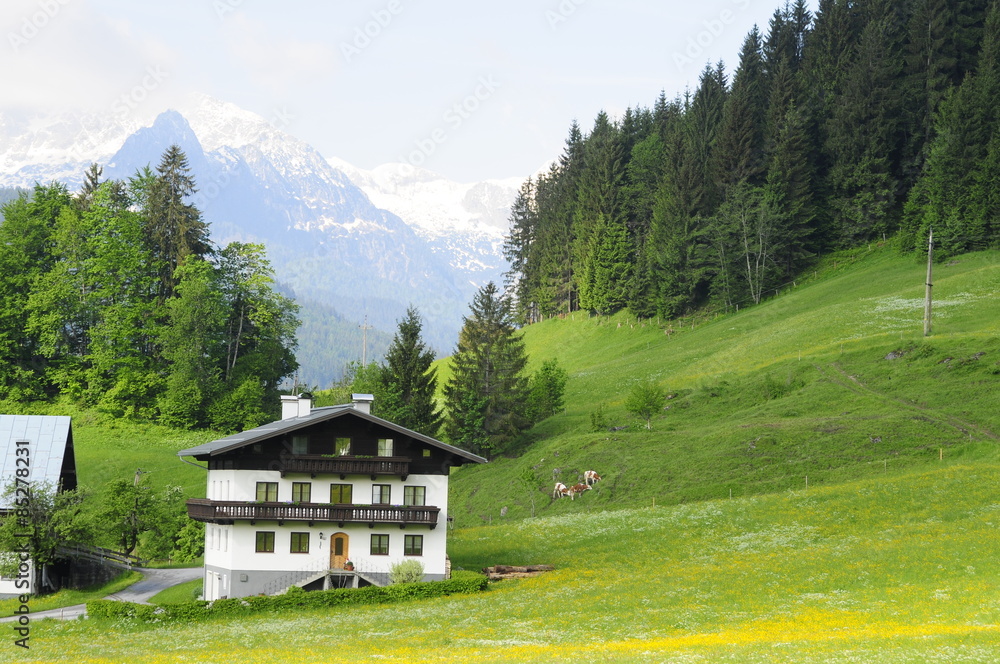Typical Alps view, Austria