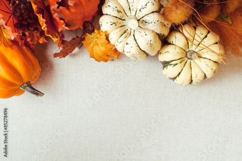 Squash & Autumn Foliage Thanksgiving and fall theme background