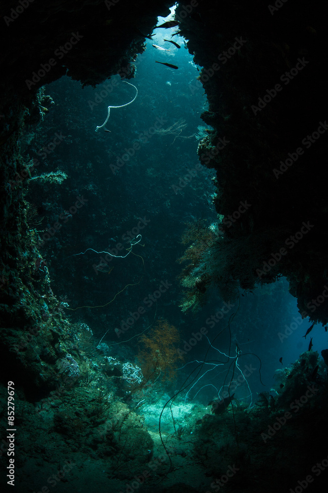 Obraz premium Underwater Cave