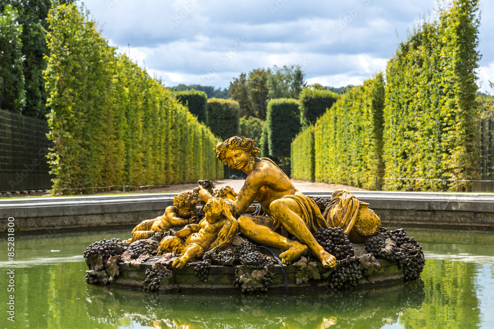 Obraz premium Fountain in the gardens of the Versailles Palace