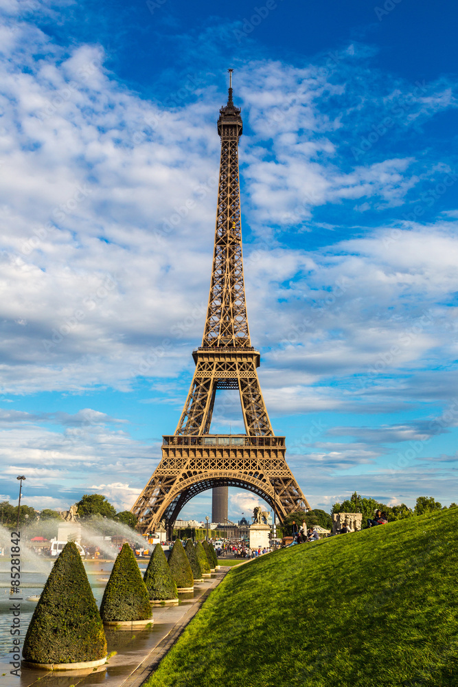 Fototapeta premium Eiffel Tower in Paris