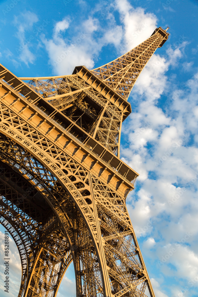 Fototapeta premium Eiffel tower in Paris